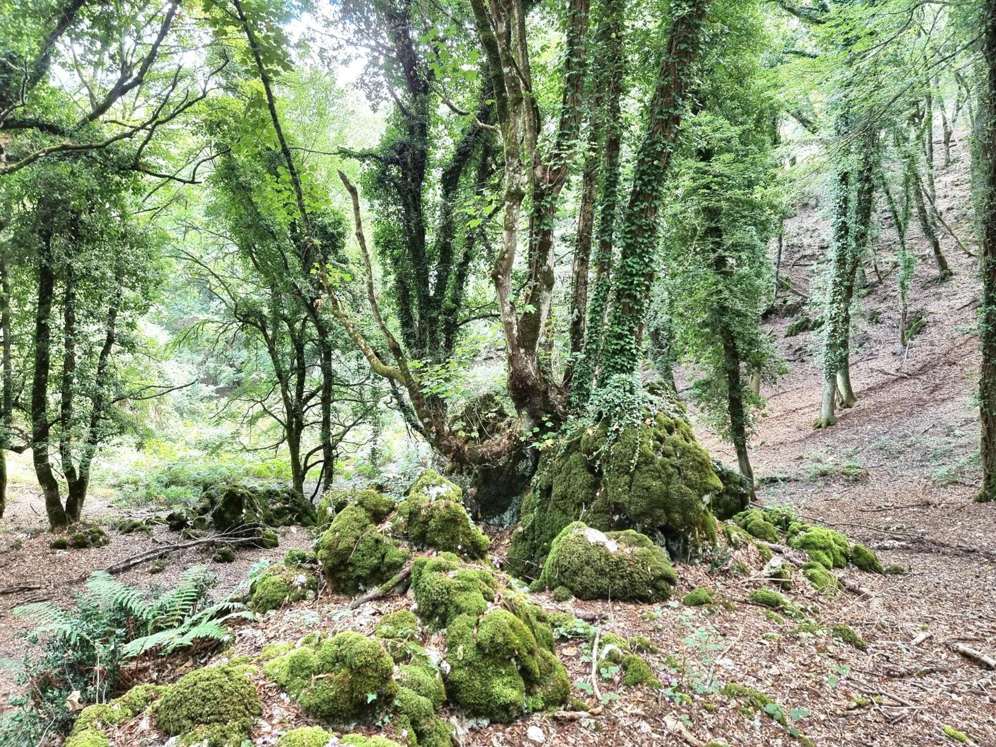 Suites Dimora Garibaldi Peschici Luaran gambar